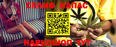 молекула духа Берёзовский